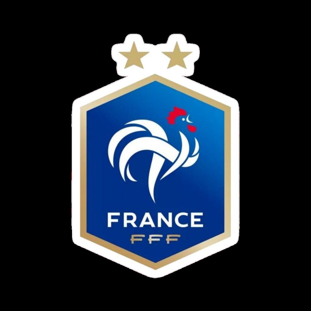 France FFF official crest badge two gold stars blue sticker
