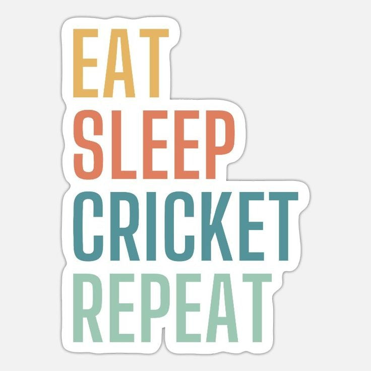 Eat Sleep Cricket Repeat — Retro Color Block Sticker