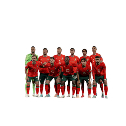 Portugal National Team Lineup Photo Sticker