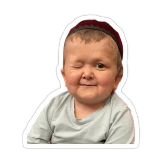 Hasbulla Wink — Meme Sticker