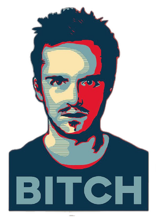 Breaking Bad All-Star Poster Sticker #21 - Premium Glossy Poster Sticker